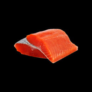 Coho Salmon (Silver)
