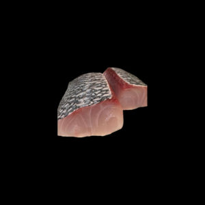 Blue-Green Snapper (Uku)