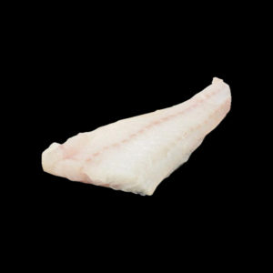 Lingcod (Buckethead)